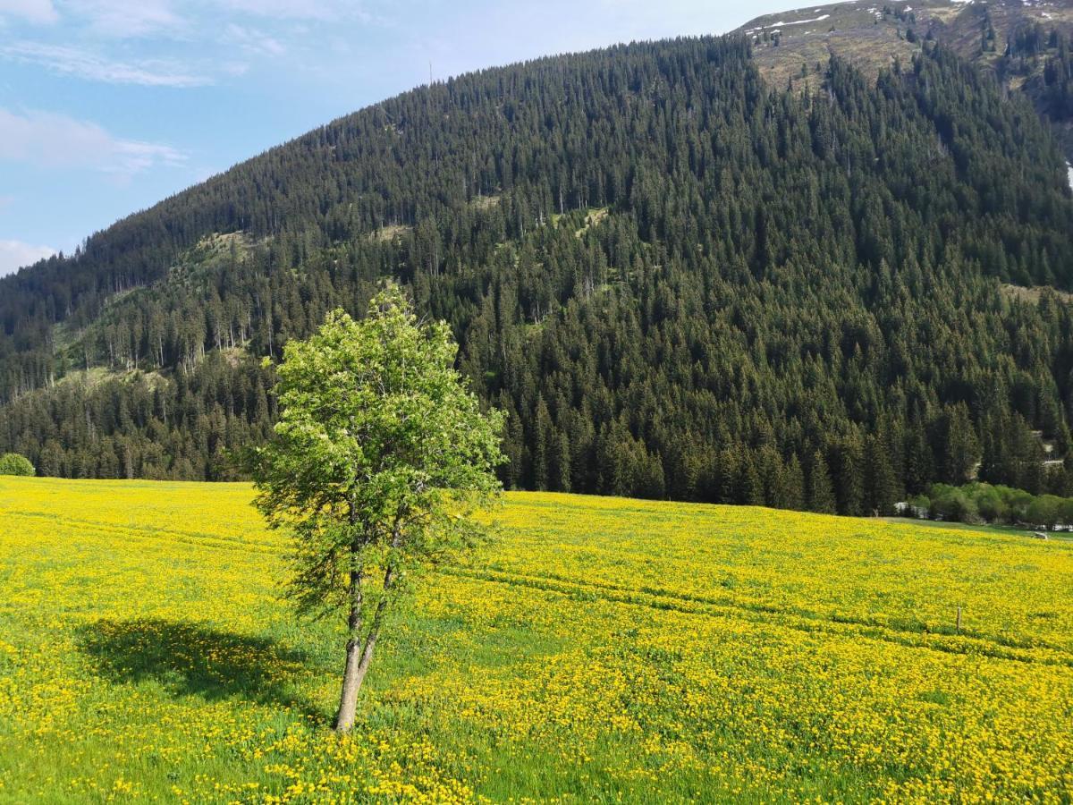 Tgesa Dutg Grond Apartment Sedrun Luaran gambar