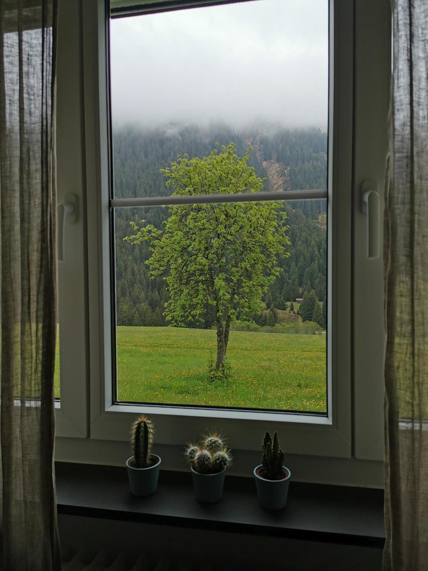 Tgesa Dutg Grond Apartment Sedrun Luaran gambar